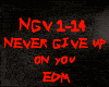 EDM-NEVER GIVE UP ON YOU