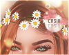 Daisy Floral Crown