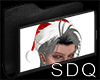 "SDQ" Hat Xmas
