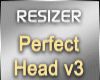 Resizer Perfect V3