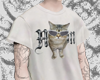 ǂ Meow Moon