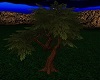 TREE 2