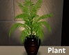 kw~Plant v1