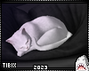 Studio Shark Pillow Cat