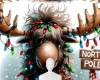 Reindeer lights funny bg