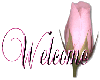 PinkPetalWelcome