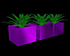 Purple Planter & Plants