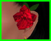 (R)Red Ear Rose