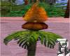 Torch Hawaii Animated