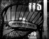 FFD Iconic Paris Pic 7