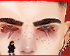 Sutton brows