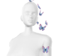 J^Add butterfly