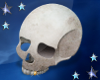 :A: Halloween Skull