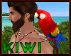 Pirate parrot
