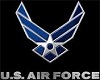 Air Force Rug