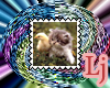 kitten stamp 15