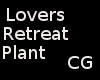 *CG* Black Silver Plants