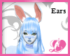 Blueberry Bunny Ears