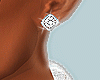 Dd! Earrings Diamond/M