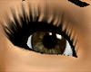 [KLL] Real Brown2 Eyes