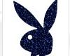 Playboy3