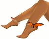 BUTTERFLY ANKLES 1