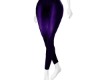 Legging purple RLL