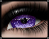 Purple Glitter Eyes