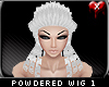 Powdered Wig 1