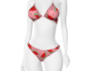 Summer Bikini V1