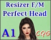 PERFECT Head 👩🏽 A1