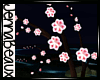 (JB)CherryBlossom(L)