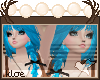 [Kloe] Bella Blueberry