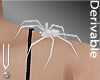 -V- Spider on Shoulder