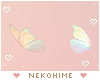 Metamorphosis Butterfly