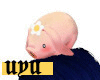 uyu Head Pig Pig