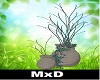 MxD pots of flowers