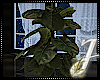 Plant | Chill Blue