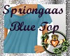 Spriongaas Blue Top