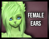 Faeryl ears