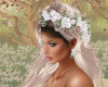 Bride's Hair Adornment