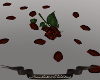 Fallen Rose