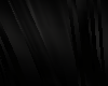 black long
