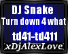 DJ Snake-turn down 4 wha