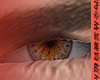 eyes brown. M