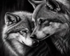 Love Of Wolves Pillows