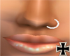 [RC] Silvernosering