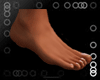 Male Perfect Feet