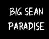 Big Sean - Paradise