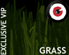 Hacienda Grass